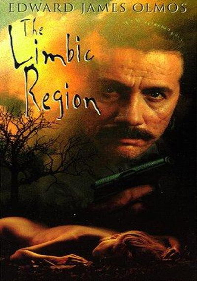 Póster de La regió límbica
