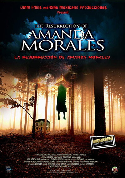 Póster de La resurrección de Amanda Morales