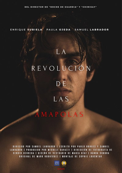 Póster de La revolución de las amapolas