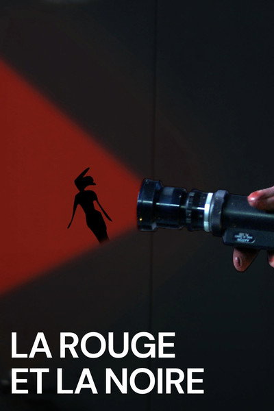 Póster de La rouge et la noire