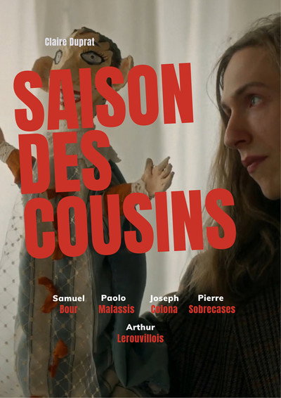 Póster de La saison des cousins