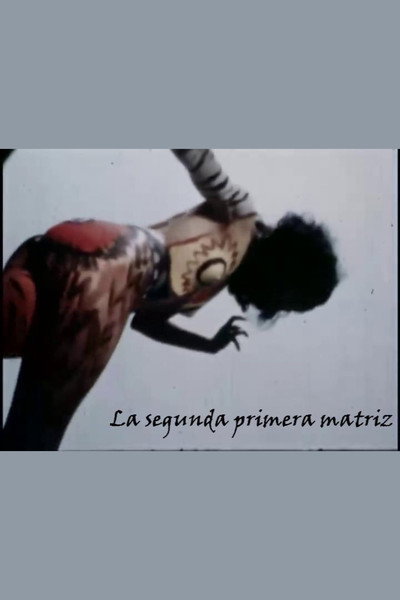 Póster de La segunda primera matriz