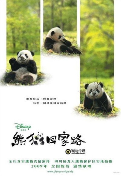 Póster de La senda del panda