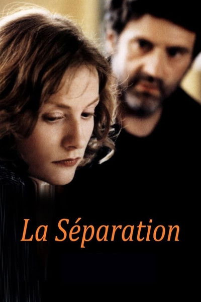 Póster de La separación