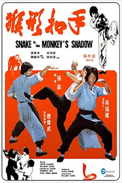 Póster de La serpiente en la sombra del mono