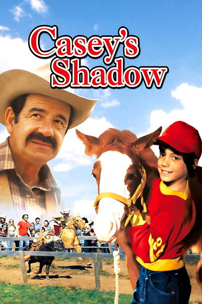 Póster de La sombra de un campeón