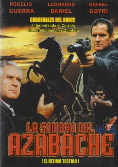 Póster de La sombra del azabache