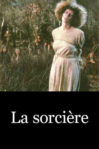 Póster de La sorcière