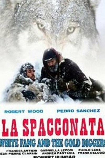 Póster de La spacconata