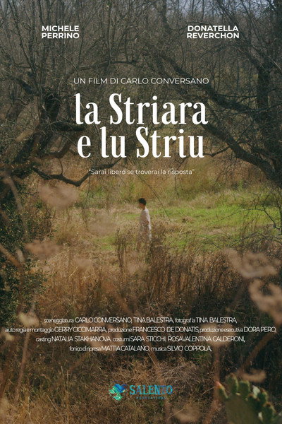 Póster de La Striara e lo Striu