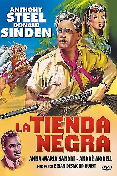 Póster de La tienda negra