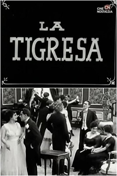 Póster de La tigresa