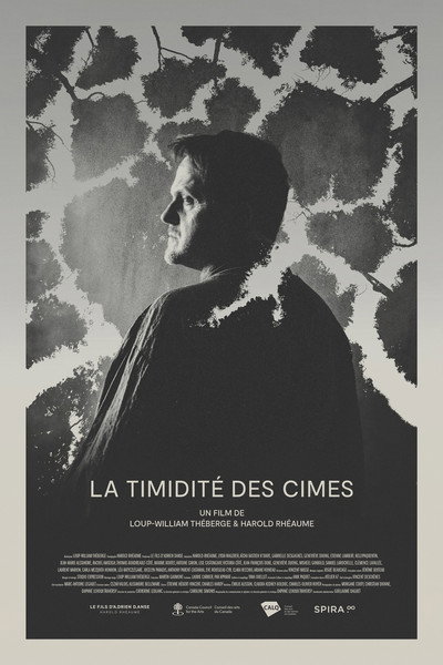 Póster de La Timidité des Cimes