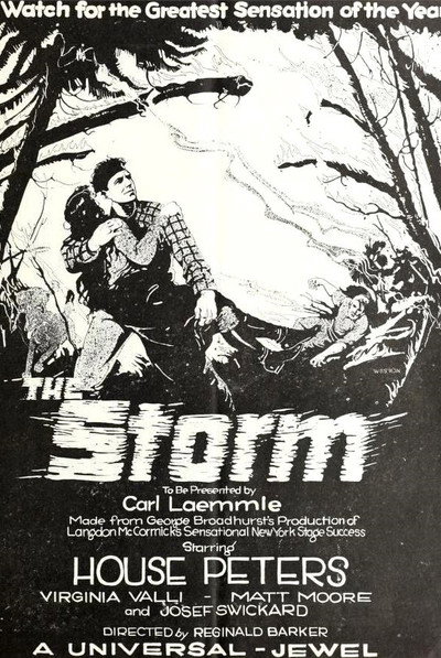 Póster de La tormenta