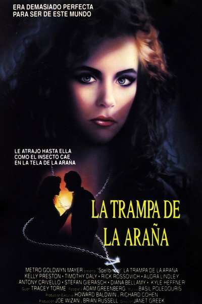 Póster de La trampa de la araña