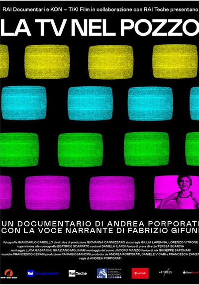 Póster de La tv nel pozzo