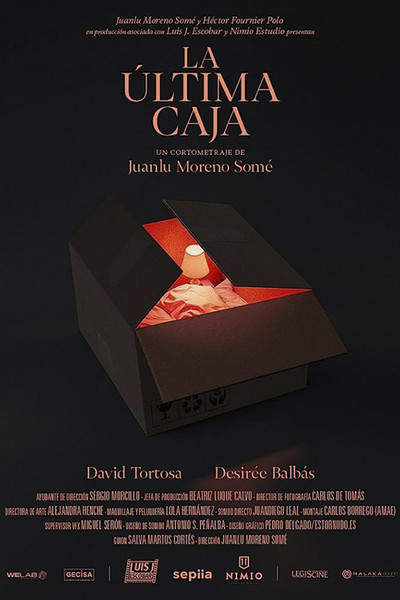 Póster de La última caja
