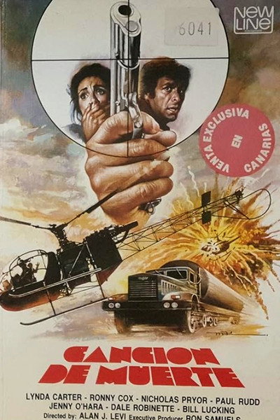 Póster de La última canción