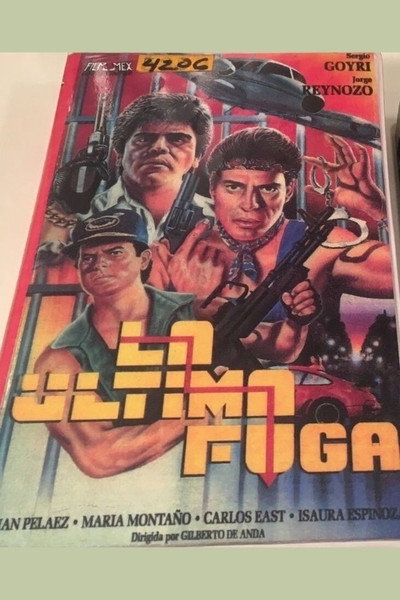 Póster de La última fuga