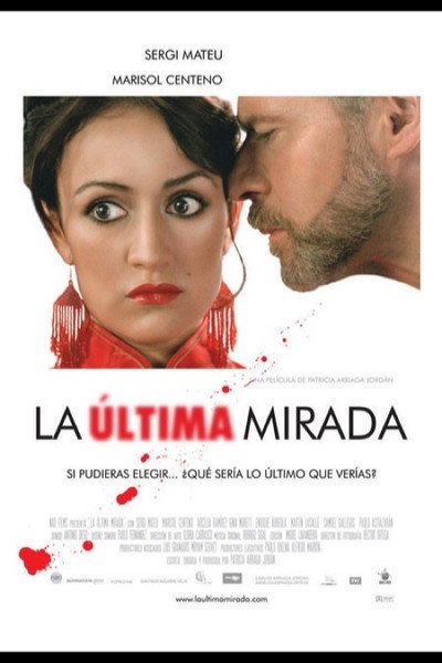 Póster de La última mirada