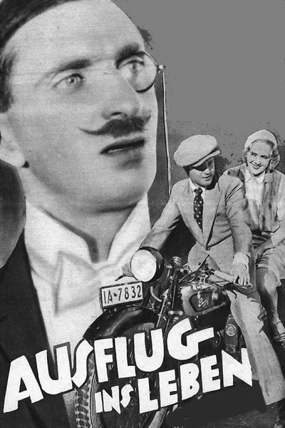 Póster de La última novela