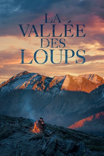 Póster de La vallée des loups