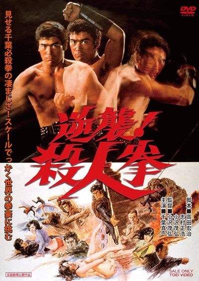 Póster de La venganza de Street fighter