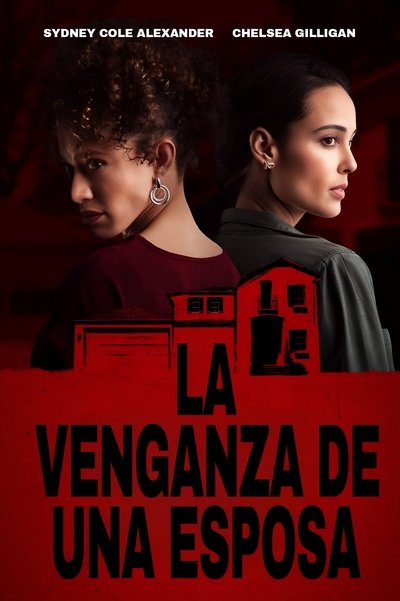 Póster de La venganza de una esposa