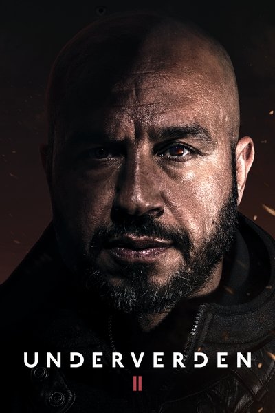 Póster de La venganza del justiciero