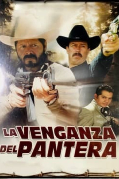 Póster de La venganza del pantera