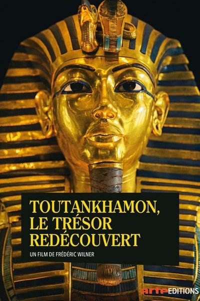 Póster de La verdad sobre el tesoro de Tutankamón