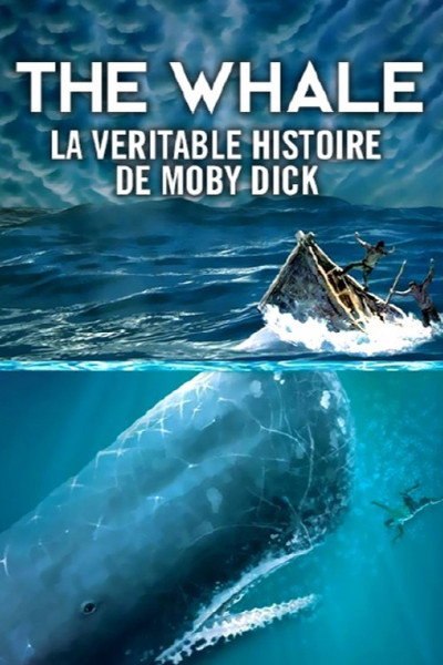 Póster de La véritable histoire de Moby Dick