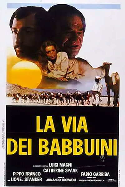 Póster de La via dei babbuini