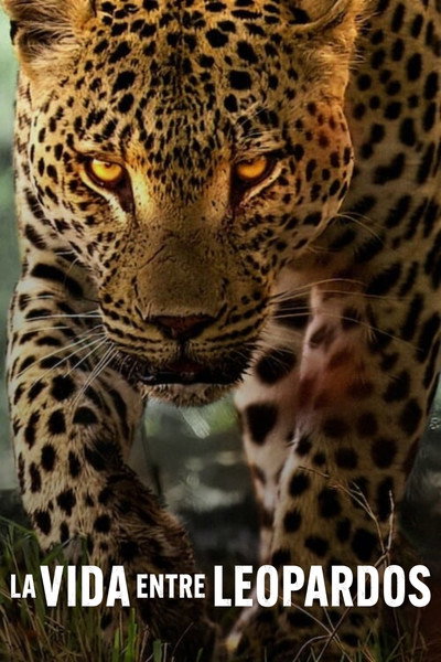 Póster de La vida entre leopardos