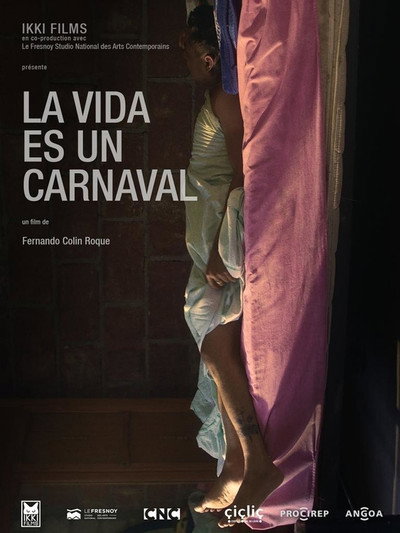 Póster de La vida es un carnaval