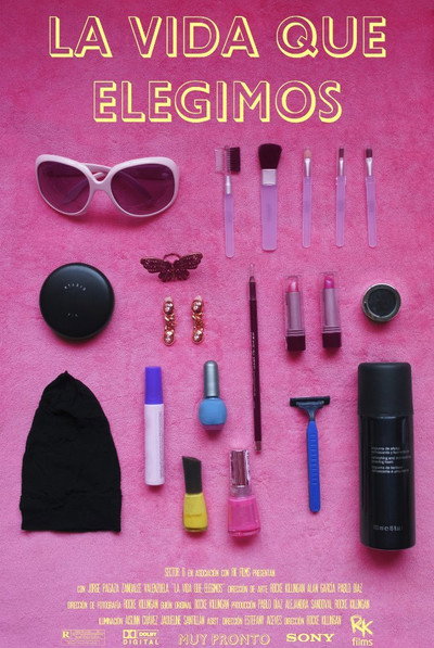 Póster de La Vida Que Elegimos