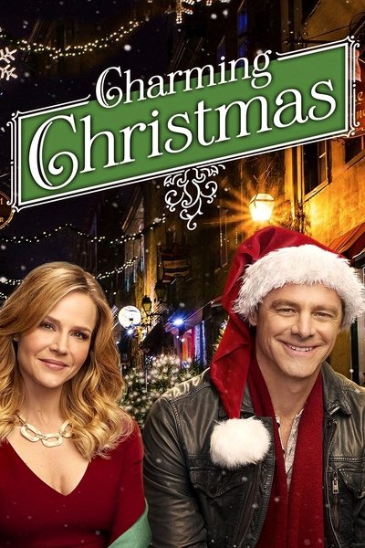 Póster de La vida secreta de la señora Claus