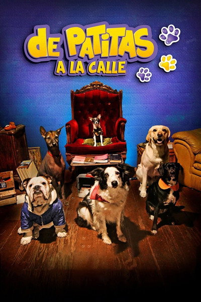 Póster de La vida secreta de los animales