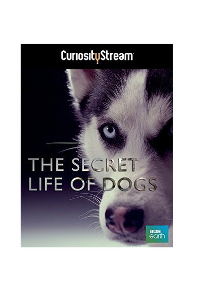 Póster de La vida secreta de los perros