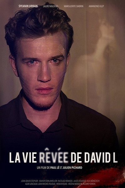Póster de La vida soñada de David L