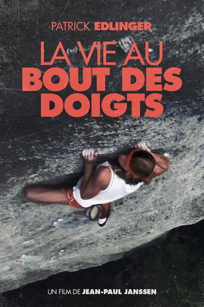 Póster de La vie au bout des doigts