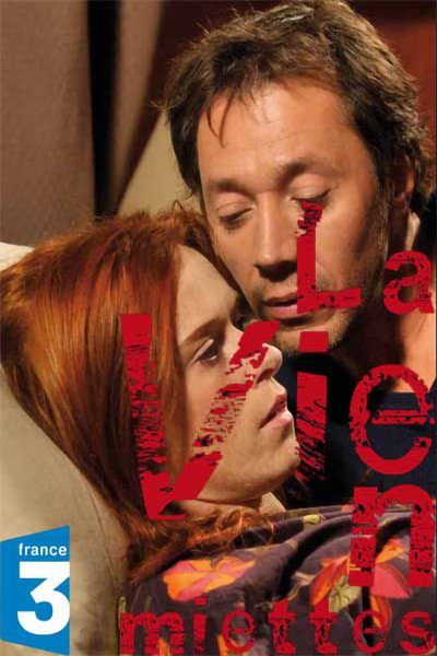 Póster de La vie en miettes