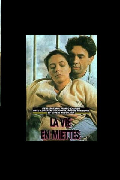Póster de La vie en miettes