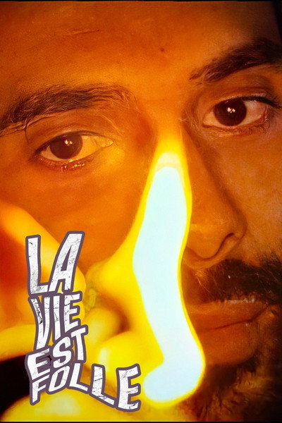 Póster de La Vie Est Folle