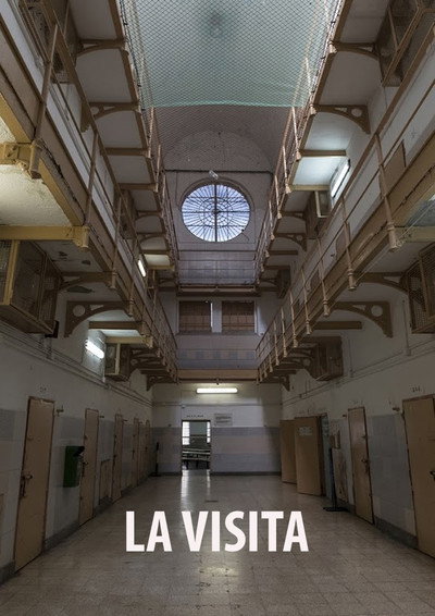Póster de La Visita