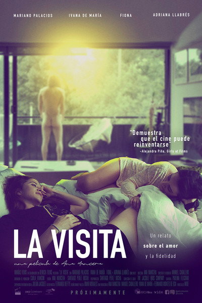 Póster de La visita