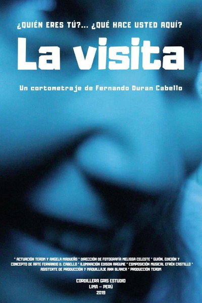 Póster de La Visita