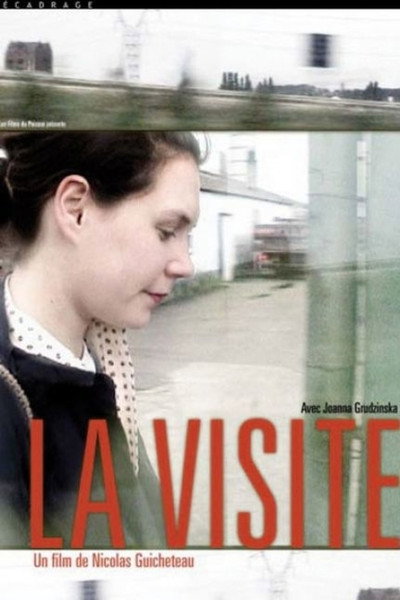 Póster de La visite