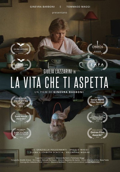 Póster de La vita che ti aspetta