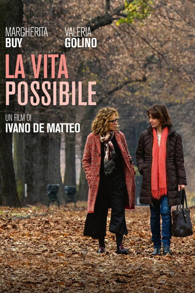 Póster de La vita possibile